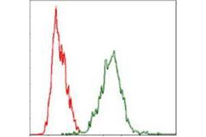 Flow Cytometry (FACS) image for anti-Yes-Associated Protein 1 (YAP1) antibody (ABIN969574)