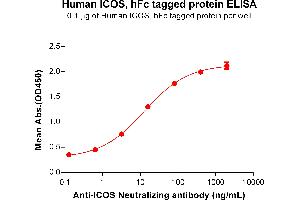 ELISA plate pre-coated by 1 μg/mL (100 μL/well) Human ICOS protein, hFc Tag (ABIN6961167, ABIN7042363 and ABIN7042364) can bind Anti-ICOS Neutralizing antibody ABIN6964425 and ABIN7272561 in a linear range of 0. (ICOS Protein (AA 21-140) (Fc Tag))