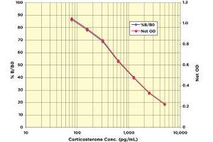 Corticosterone ELISA Kit