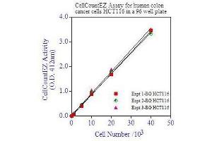 Image no. 5 for CellCountEZ™ Cell Survival Assay Kit (ABIN1607918)