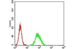 Flow Cytometry (FACS) image for anti-Ezrin (EZR) (AA 292-464) antibody (ABIN5542456)