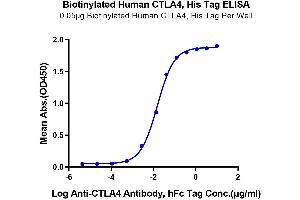 ELISA image for Cytotoxic T-Lymphocyte-Associated Protein 4 (CTLA4) protein (His-Avi Tag,Biotin) (ABIN7274437)