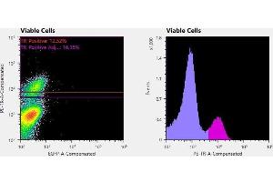 Flowcytometry of huSSECTM cell line overexpressing hFcRn-EGFP labeled with clone ADM31  primary Ab and Texas Red™ conjugated anti-mouse secondary. (FcRn antibody)