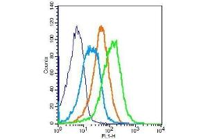 Flow Cytometry (FACS) image for anti-Apelin Receptor (APLNR) (AA 52-66) antibody (ABIN740160)