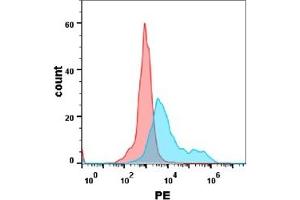 Flow cytometry analysis with Anti-IL-17RA  (DM126) on Expi293 cells transfected with human IL17RA(Blue histogram) or Expi293 transfected with irrelevant protein (Red histogram). (IL17RA antibody  (AA 33-320))