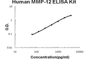 Human MMP-12 Accusignal ELISA Kit Human MMP-12 AccuSignal ELISA Kit standard curve. (MMP12 ELISA Kit)