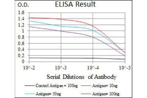 ELISA image for anti-Keratin 13 (KRT13) (AA 143-295) antibody (ABIN1845564) (Cytokeratin 13 antibody  (AA 143-295))