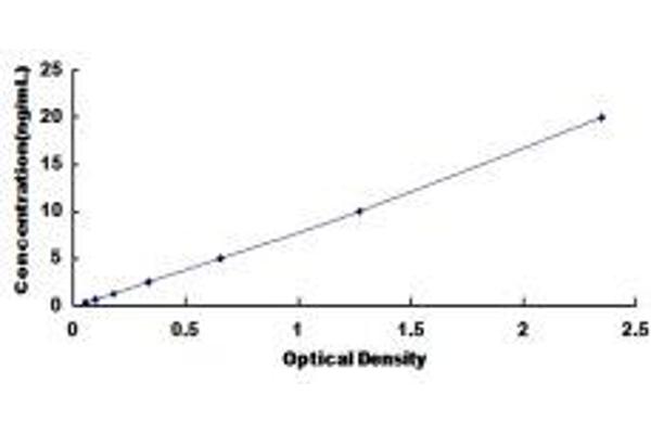 UROC1 ELISA Kit