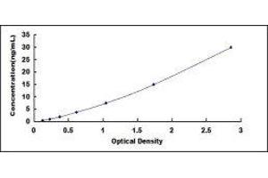 ELISA image for Histidine-Rich Glycoprotein (HRG) ELISA Kit (ABIN6720587)