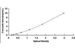 ELISA image for Phospholipase A2, Pancreas (pPLA2) ELISA Kit (ABIN572370) (pPLA2 ELISA Kit)