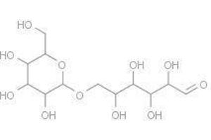 Melibiose (Melibiose)