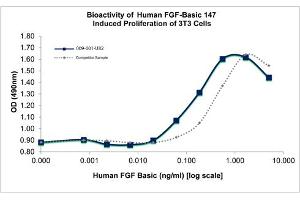 SDS-PAGE of Human Fibroblast Growth Factor 147 basic Recombinant Protein Bioactivity of Human Fibroblast Growth Factor 147 basic Recombinant Protein. (FGF2 Protein)