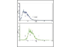 Flow cytometric analysis of HepG2 cells using SOX9 Antibody (Center)(bottom histogram) compared to a negative control cell (top histogram). (SOX9 antibody  (AA 231-260))