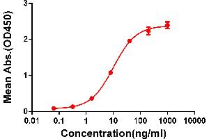 ELISA plate pre-coated by 2 μg/mL (100 μL/well) Human C protein, mFc-His tagged protein ABIN6961090, ABIN7042209 and ABIN7042210 can bind Rabbit anti-C monoclonal antibody (clone: DM50) in a linear range of 1-100 ng/mL. (Recombinant CTLA4 antibody  (AA 36-161))