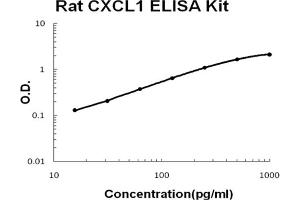 ELISA image for Chemokine (C-X-C Motif) Ligand 1 (Melanoma Growth Stimulating Activity, Alpha) (CXCL1) ELISA Kit (ABIN6719815)