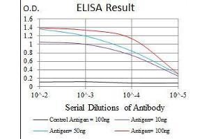 ELISA image for anti-Myelin Basic Protein (MBP) antibody (ABIN969279)