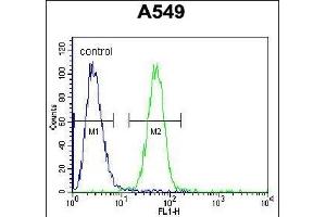COP1 Antibody (N-term) (ABIN655275 and ABIN2844867) flow cytometric analysis of A549 cells (right histogram) compared to a negative control cell (left histogram). (RFWD2 antibody  (N-Term))