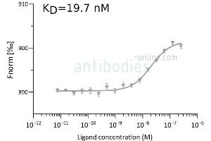 Binding Studies (Bind) image for anti-SARS-CoV-2 Spike S1 (RBD) antibody (ABIN6952546)