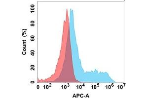 Flow cytometry analysis with Anti-CD114 (DM172) on Expi293 cells transfected with human CD114 (Blue histogram) or Expi293 transfected with irrelevant protein (Red histogram). (CSF3R antibody  (AA 25-622))