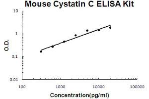 ELISA image for Cystatin C (CST3) ELISA Kit (ABIN6719819)