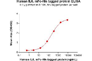 ELISA plate pre-coated by 1 μg/mL (100 μL/well) Human IL6R, hFc tagged protein ABIN7092702, ABIN7272204 and ABIN7272205 can bind Human IL6, mFc-His tagged protein (ABIN6961105, ABIN7042239 and ABIN7042240) in a linear range of 14. (IL-6 Protein (AA 30-212) (mFc-His Tag))