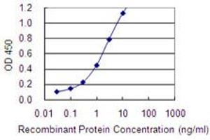 Detection limit for recombinant GST tagged BARX2 is 0. (BARX Homeobox 2 antibody  (AA 161-260))