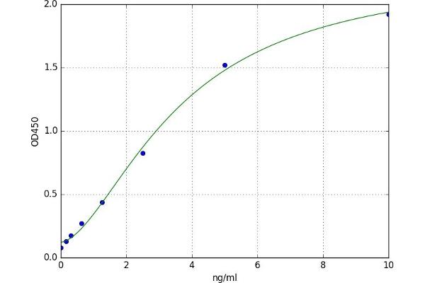 TBXAS1 ELISA Kit