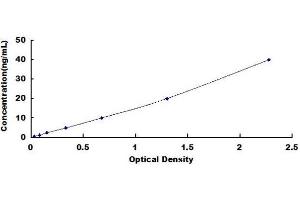 Typical standard curve (IgA Secretory Component ELISA Kit)