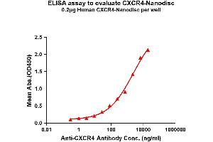 Elisa plates were pre-coated with Flag Tag C-Nanodisc (0. (CXCR4 Protein)