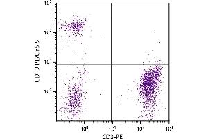 Human peripheral blood lymphocytes were stained with Mouse Anti-Human CD19-PE/CY5. (CD19 antibody  (PE-Cy5.5))