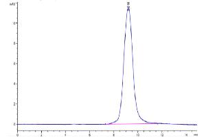 The purity of Monkeypox virus A30 is greater than 95 % as determined by SEC-HPLC. (MPXV A30L (AA 22-146) protein (His tag))