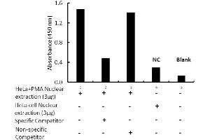 Activity Assay (AcA) image for ELK1, Member of ETS Oncogene Family (ELK1) ELISA Kit (ABIN5690751)