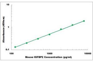 Representative Standard Curve (IGFBP2 ELISA Kit)