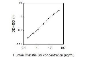 CST1 ELISA Kit