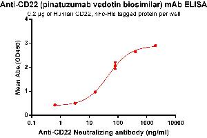 ELISA plate pre-coated by 2 μg/mL (100 μL/well) Human CD22, hFc-His tagged protein (ABIN6961078, ABIN7042185 and ABIN7042186) can bind Anti-CD22 Neutralizing antibody in a linear range of 3. (Recombinant CD22 (Pinatuzumab Biosimilar) antibody)