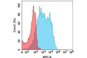 F protein is highly expressed on the surface of Expi293 cell membrane. (FOLR1 (Mirvetuximab Biosimilar) antibody  (Glu239Asp-Mutant, Met241Leu-Mutant))