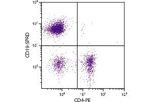 C57BL/6 mouse splenocytes were stained with Rat Anti-Mouse CD19-SPRD. (CD19 antibody  (SPRD))