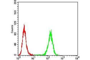 Flow cytometric analysis of Hela cells using AIM2 mouse mAb (green) and negative control (red). (AIM2 antibody  (AA 1-195))