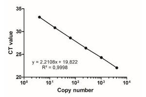 Image no. 1 for PhoenixDx® Mycoplasma Mix (ABIN6720774)