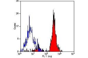 Flow Cytometry (FACS) image for anti-CD151 (CD151) antibody (ABIN2478581) (CD151 antibody)