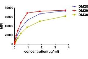 Affinity ranking of different Rabbit anti-CD38 mAb clones by titration of different concentration onto Raji cells. (CD38 antibody  (AA 43-300))