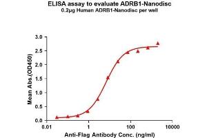 Elisa plates were pre-coated with Flag Tag A-Nanodisc (0. (ADRB1 Protein)