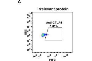 Expi 293 cell line transfected with irrelevant protein  (A) and human C  (B) were surface stained with Rabbit anti-C monoclonal antibody 1 μg/mL (clone: DM50) followed by Alexa 488-conjugated anti-rabbit IgG secondary antibody. (Recombinant CTLA4 antibody  (AA 36-161))