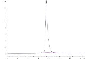 The purity of Rat GARP&Latent TGF Beta 1 Complex is greater than 95 % as determined by SEC-HPLC. (GARP & Latent TGF beta 1 Complex (AA 18-628) protein (His-Avi Tag))