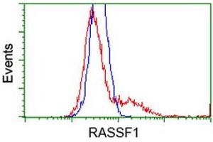 Flow Cytometry (FACS) image for anti-Ras Association (RalGDS/AF-6) Domain Family Member 1 (RASSF1) antibody (ABIN1500609) (RASSF1 antibody)