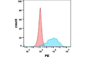 Flow cytometry analysis with Anti-CEA  (DM120) on Expi293 cells transfected with human CEA(Blue histogram) or Expi293 transfected with irrelevant protein (Red histogram). (CEACAM5 antibody  (AA 35-685))