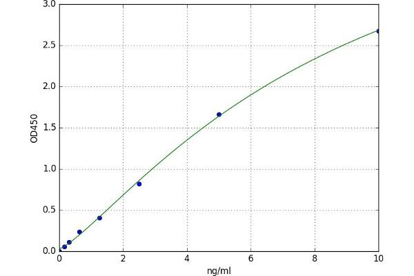 GGT5 ELISA Kit