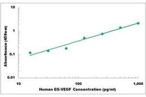 Representative Standard Curve (Prokineticin 1 ELISA Kit)