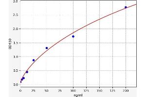 CA2 ELISA Kit