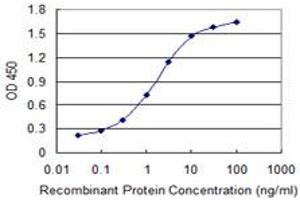 Detection limit for recombinant GST tagged EPHB1 is 0. (EPH Receptor B1 antibody  (AA 221-320))